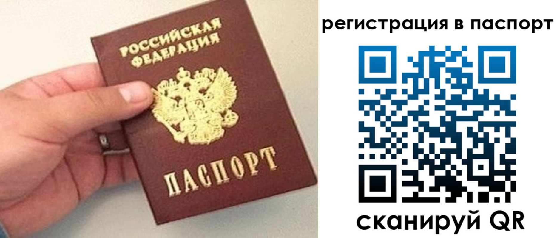 прописка законно в Камышлове